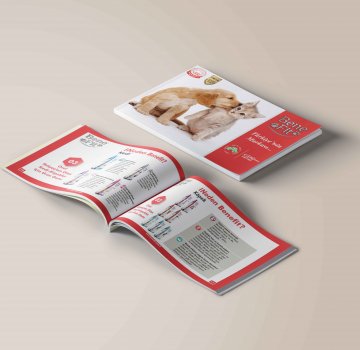 Office701 | Benefit Katalog Tasarımı