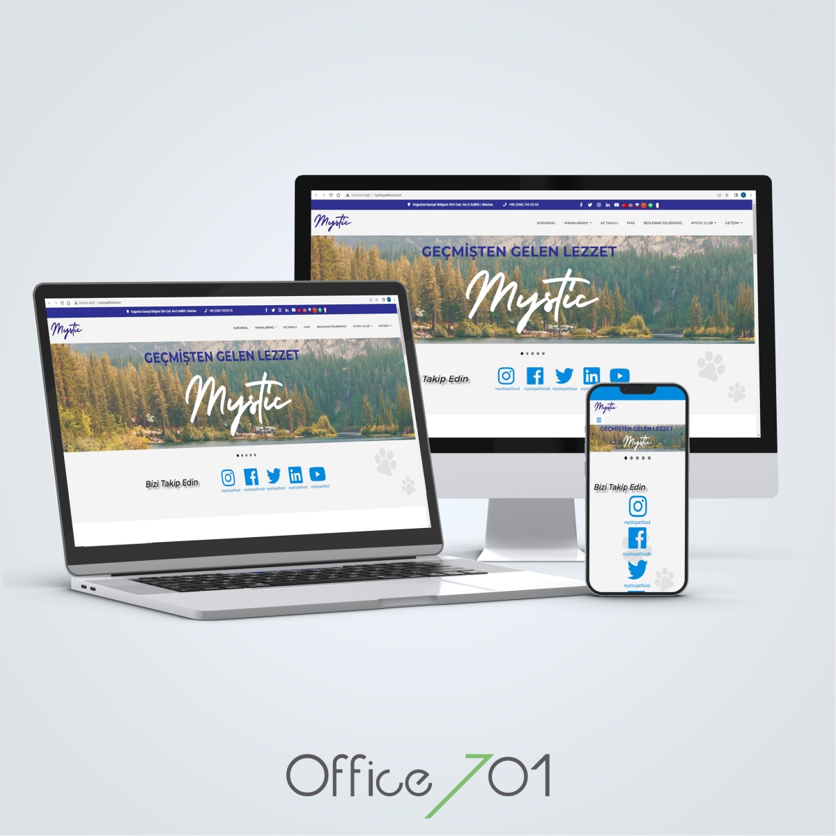Office701 | Mystic | Pet Food Website