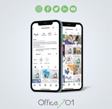 Office701 | Mystic  | Social Media Management