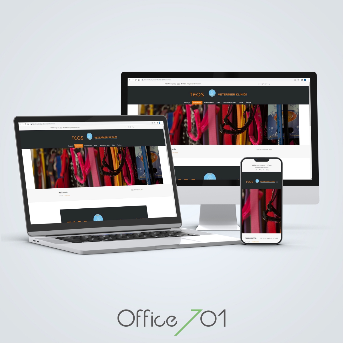 Office701 | Teos Veteriner Web Sitesi