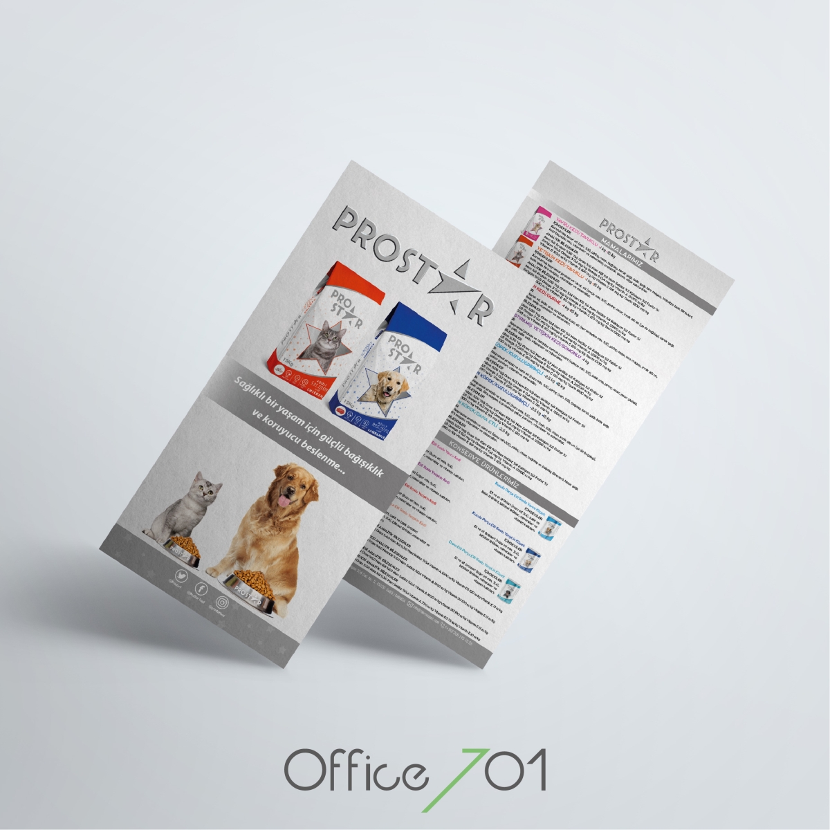 Office701 | Prostar Broşür Tasarımı